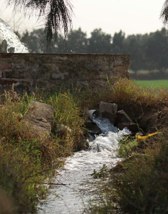 water-management